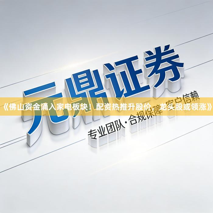《佛山资金涌入家电板块！配资热推升股价，龙头股或领涨》