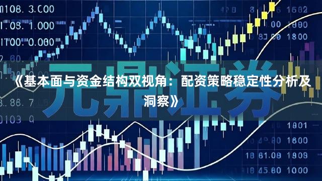 《基本面与资金结构双视角：配资策略稳定性分析及洞察》