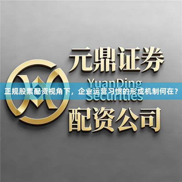 正规股票配资视角下，企业运营习惯的形成机制何在？