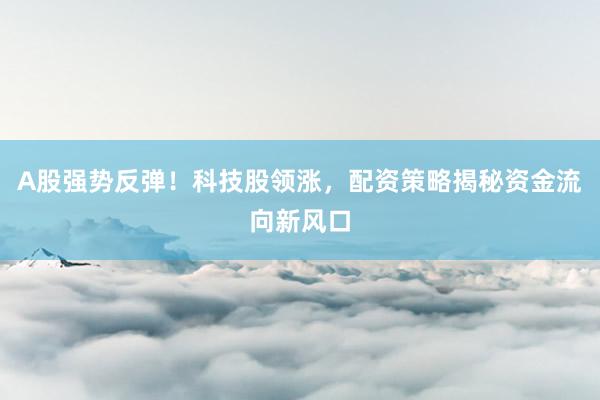 A股强势反弹！科技股领涨，配资策略揭秘资金流向新风口