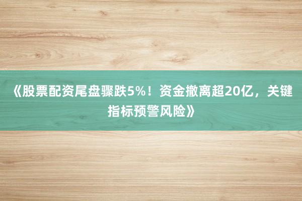 《股票配资尾盘骤跌5%！资金撤离超20亿，关键指标预警风险》