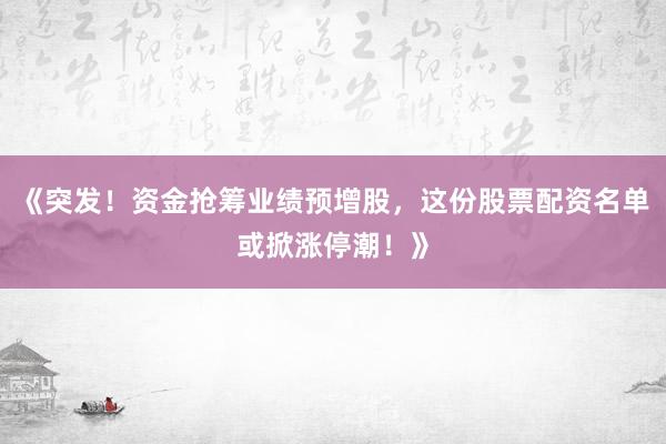《突发！资金抢筹业绩预增股，这份股票配资名单或掀涨停潮！》