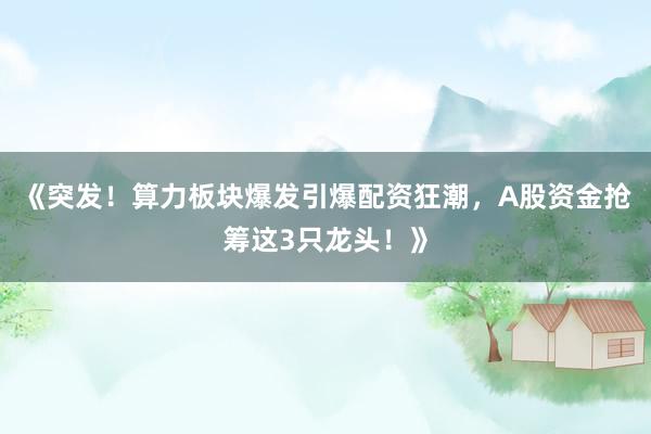 《突发！算力板块爆发引爆配资狂潮，A股资金抢筹这3只龙头！》