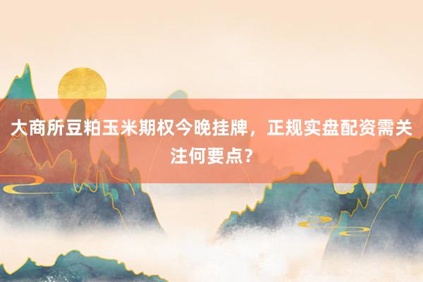 大商所豆粕玉米期权今晚挂牌，正规实盘配资需关注何要点？
