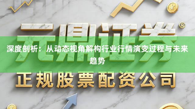 深度剖析：从动态视角解构行业行情演变过程与未来趋势
