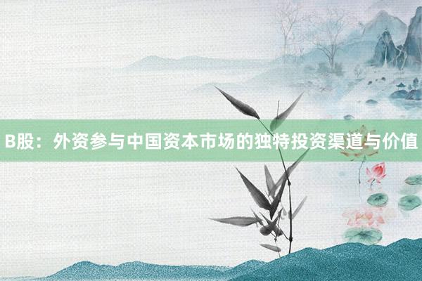 B股：外资参与中国资本市场的独特投资渠道与价值