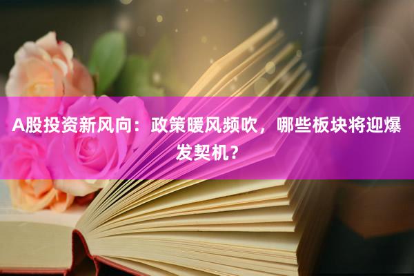 A股投资新风向：政策暖风频吹，哪些板块将迎爆发契机？