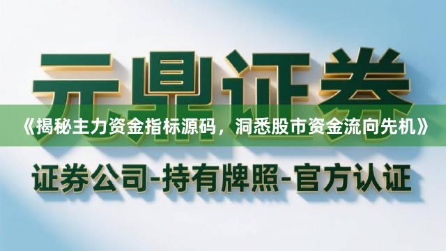 《揭秘主力资金指标源码，洞悉股市资金流向先机》