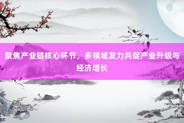 聚焦产业链核心环节，多领域发力共促产业升级与经济增长