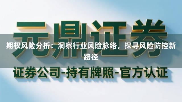 期权风险分析：洞察行业风险脉络，探寻风险防控新路径