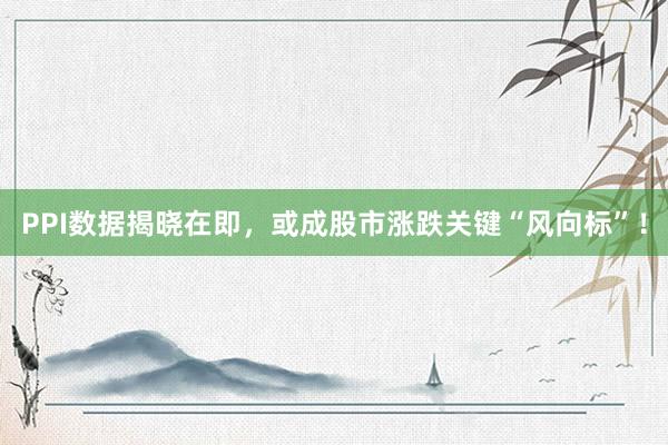 PPI数据揭晓在即，或成股市涨跌关键“风向标”！